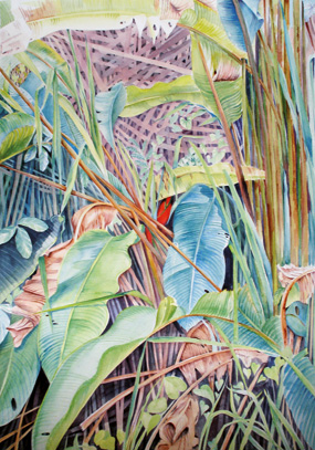Helen Mortlock, El Trópico, 1999