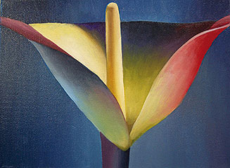 Blüte auf Blau, Öl/Leinwand, 30 x 40cm, 2007