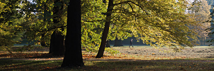 Peter Zimolong – Herbstspaziergang | Fotografie 2012, Fotopapier portra, 90 x 30 cm | Edition 20